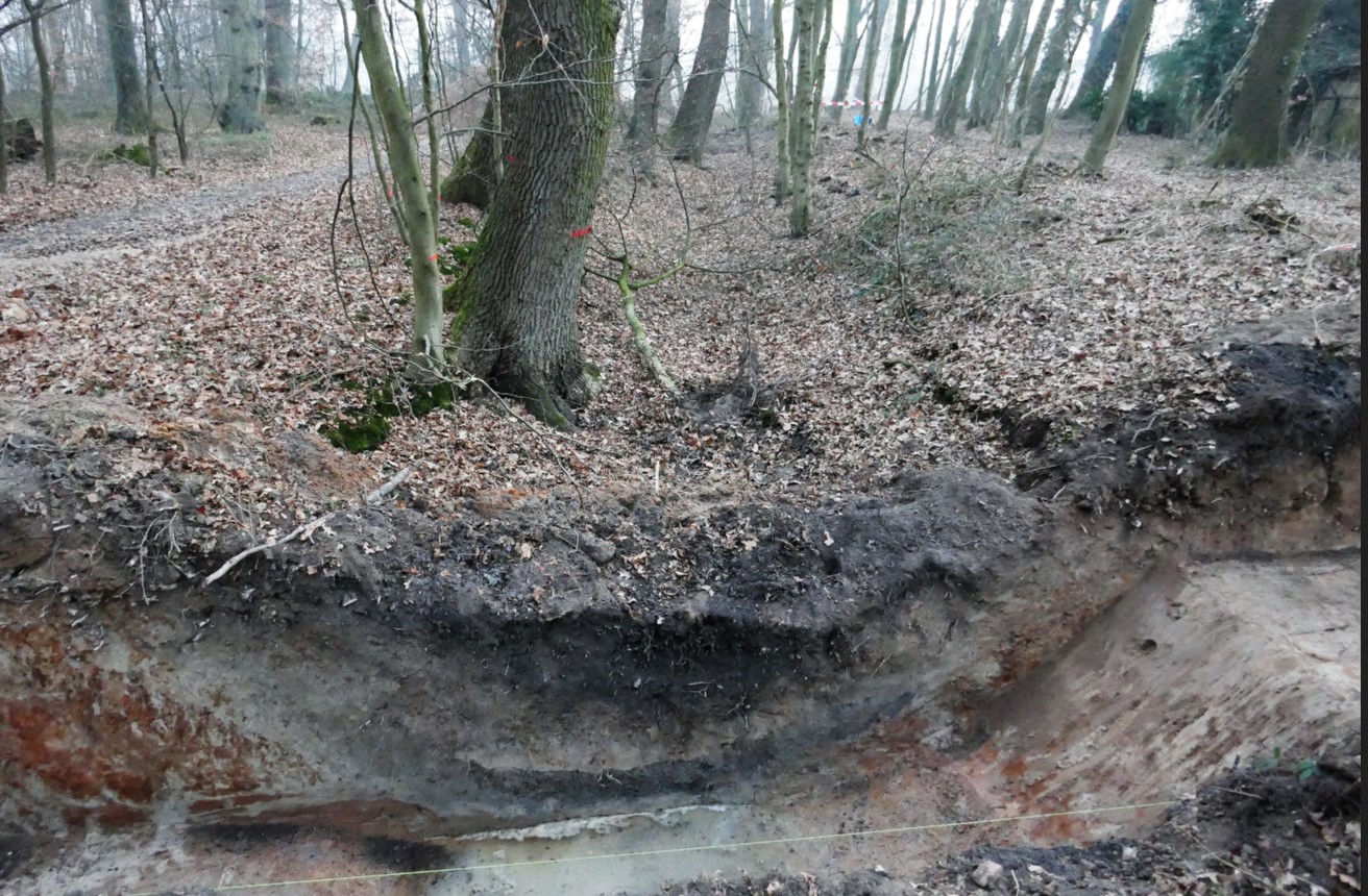 Grabenschnitt